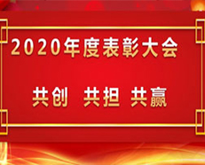 2020安的電子年度表彰大會(huì)順利召開 ---“共創(chuàng)，共擔(dān)，共贏”主題演講